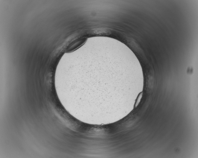 X0000112160260200909181454