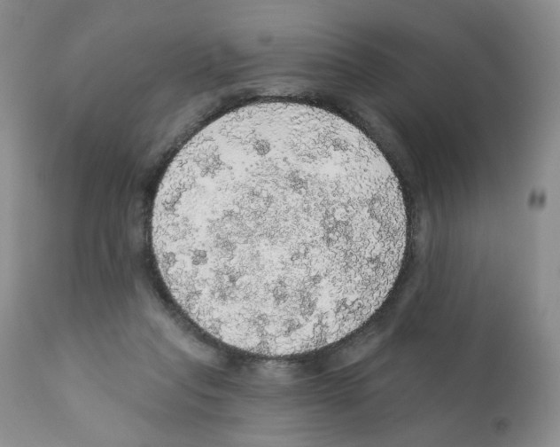 X0000112160261200909181454
