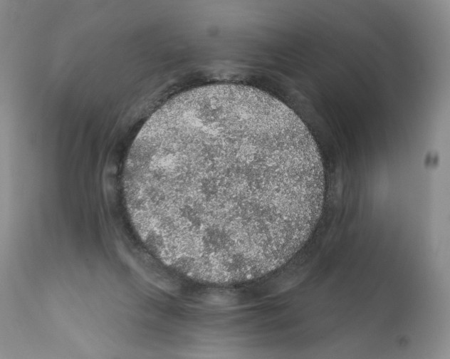 X0000112160263200909181455