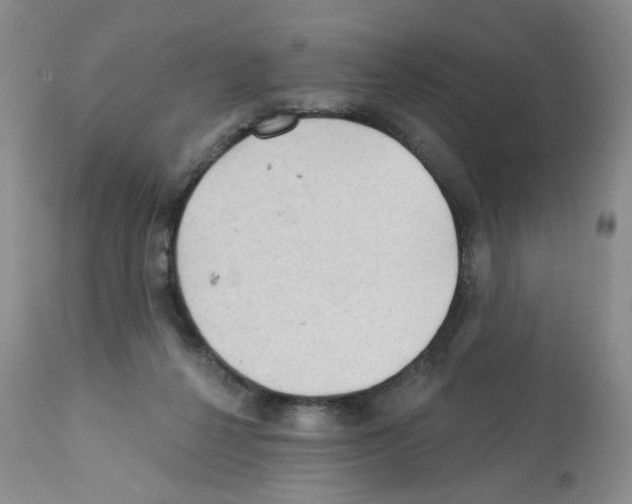 X0000112160264200909181455