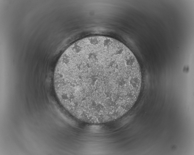 X0000112160265200909181455