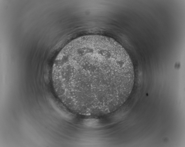 X0000112160266200909181455