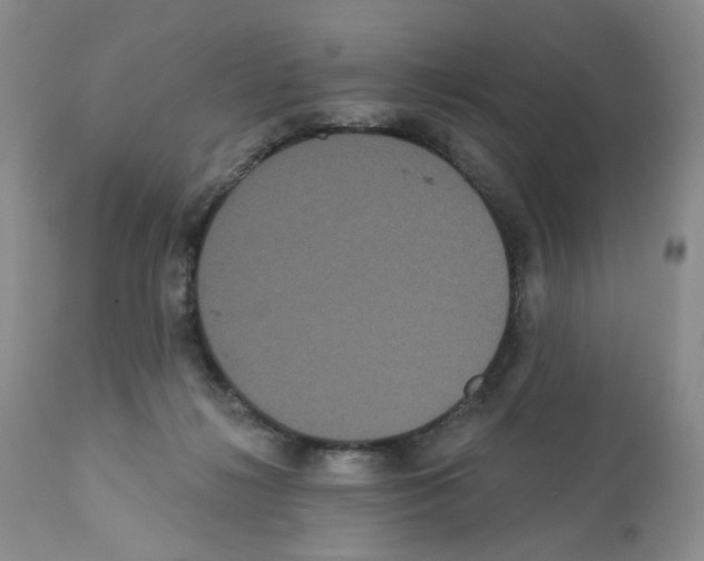 X0000112160268200909181455