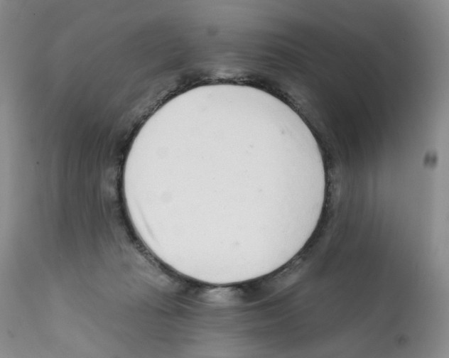 X0000112160269200909181455