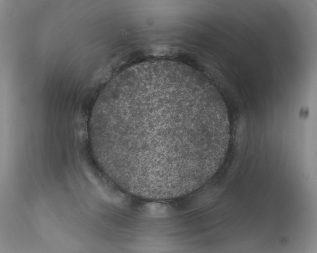 X0000112160272200909181455