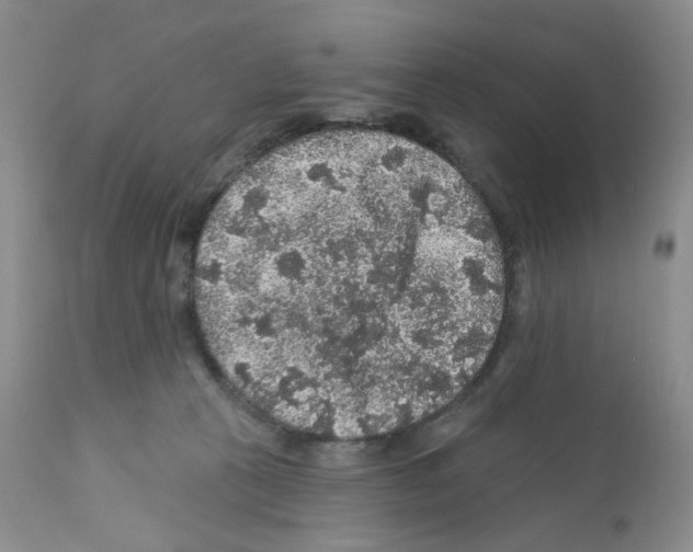X0000112160273200909181455