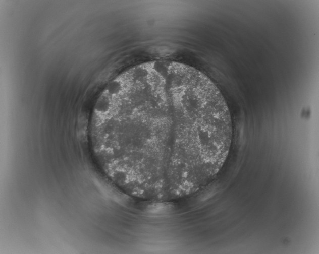 X0000112160274200909181455