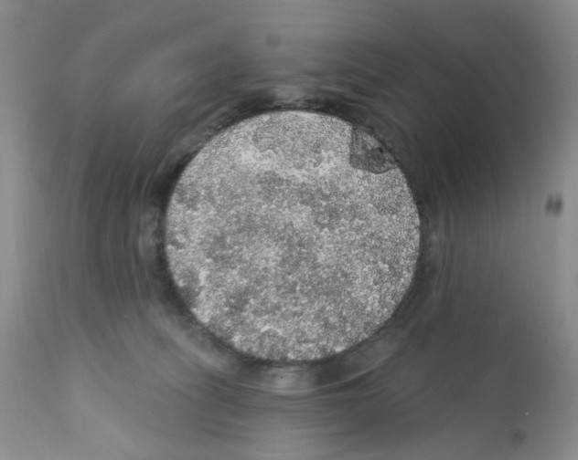 X0000112160275200909181455