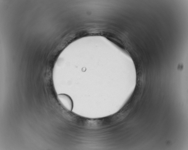 X0000112160277200909181455