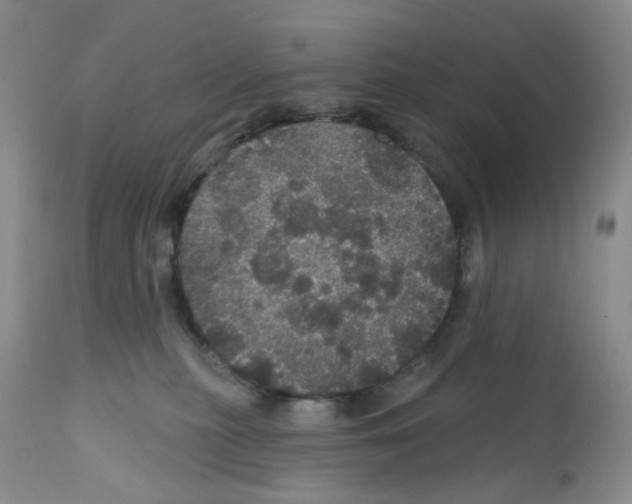X0000112160279200909181455