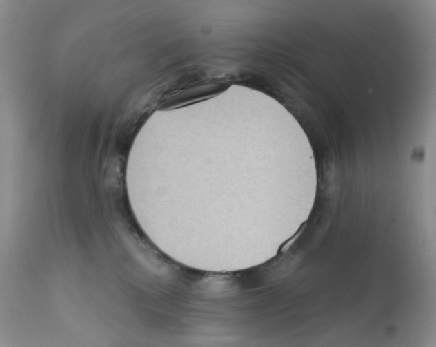 X0000112160280200909181455