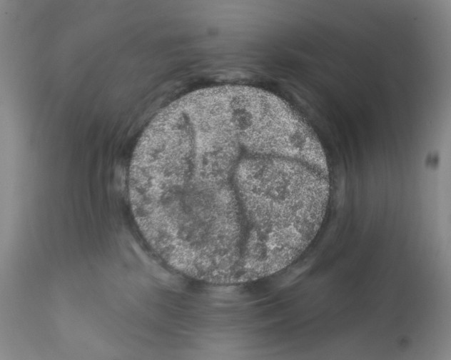 X0000112160281200909181455