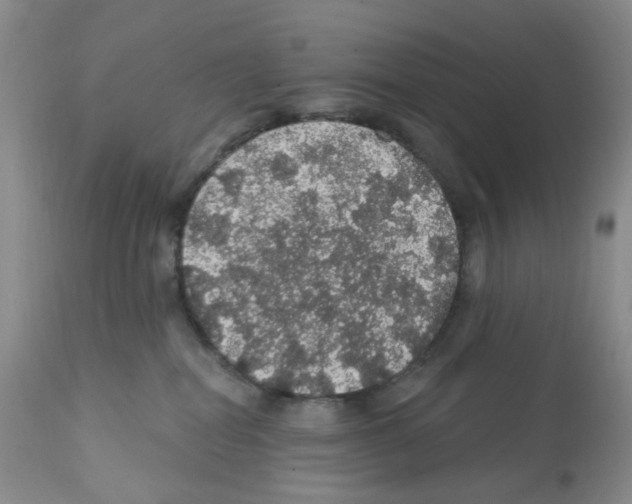 X0000112160282200909181455