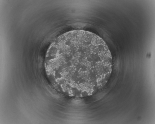 X0000112160283200909181455