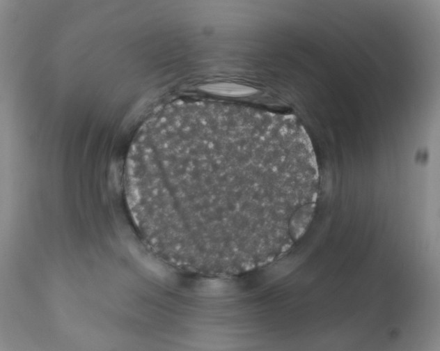 X0000112160286200909181455