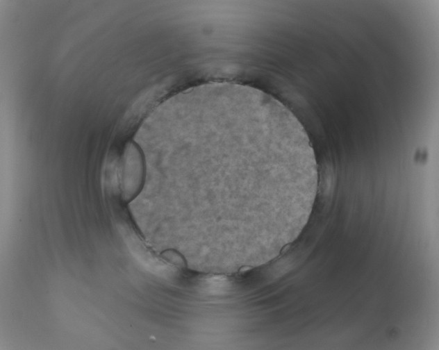 X0000112160287200909181455