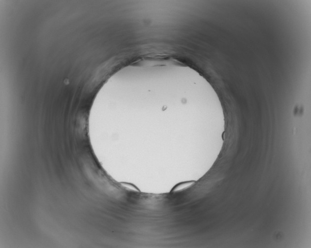 X0000112160288200909181455