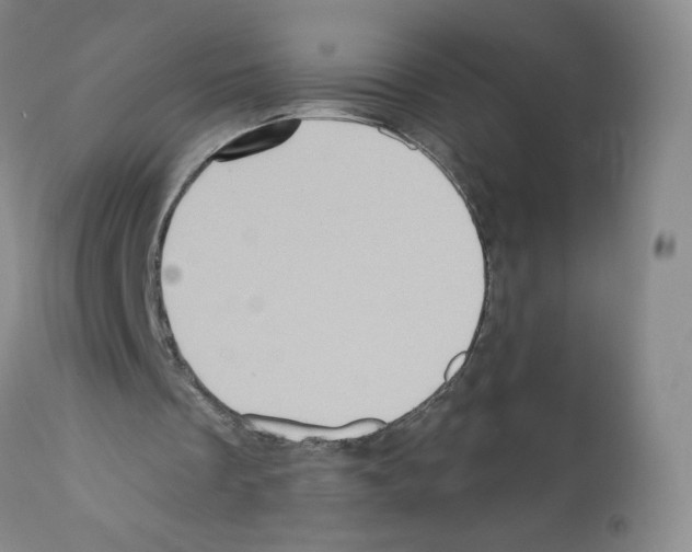 X0000112160289200909181454