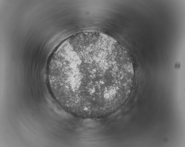 X0000112160290200909181454
