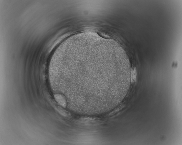 X0000112160291200909181454