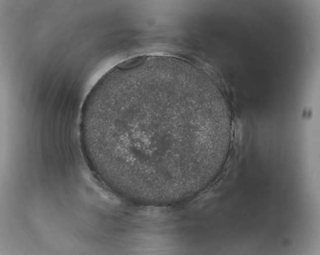 X0000112160292200909181454