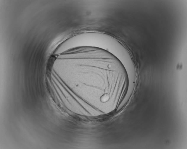 X0000112160293200909181454