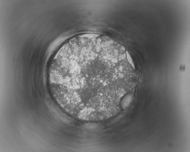 X0000112160294200909181454