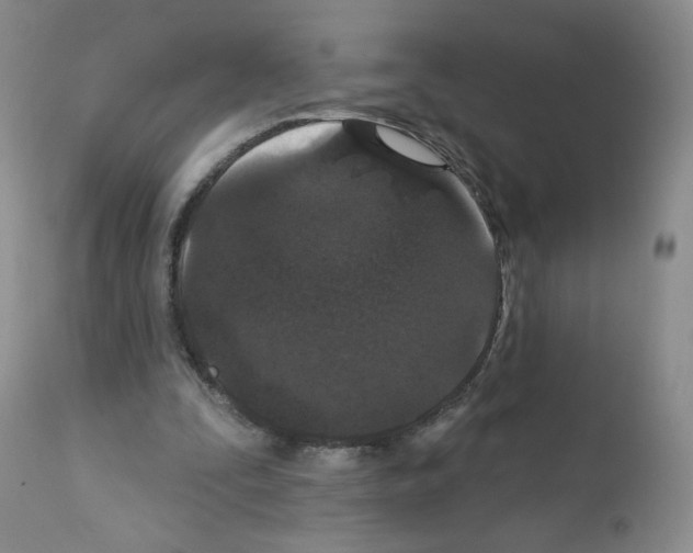 X0000112160295200909181454