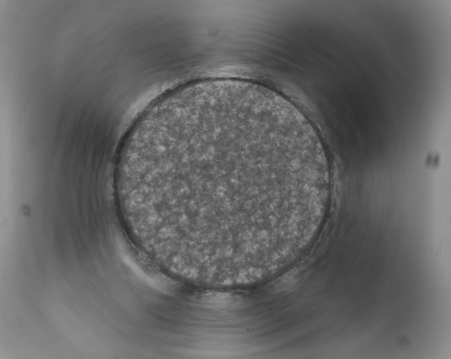 X0000112160298200909181454