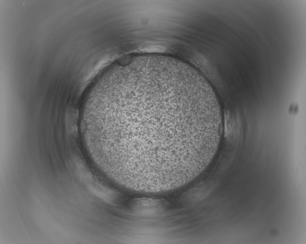 X0000112160300200909181454