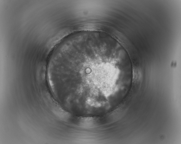 X0000112160301200909181454