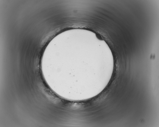 X0000112160303200909181454