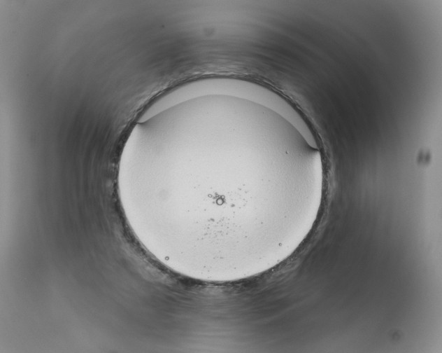 X0000112160305200909181454