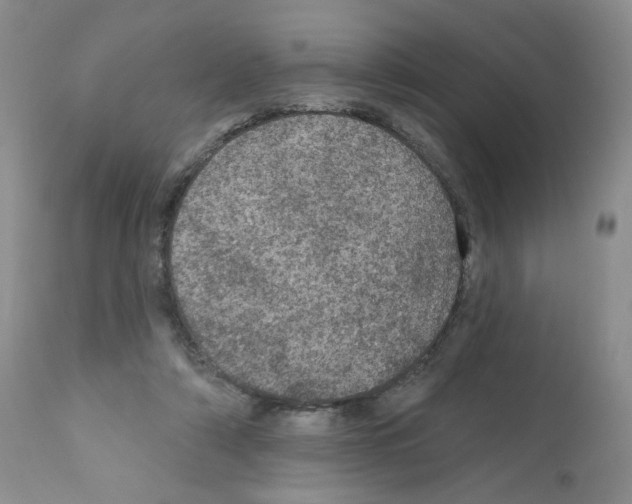X0000112160306200909181454