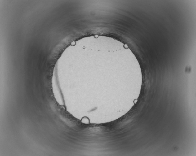 X0000112160307200909181454