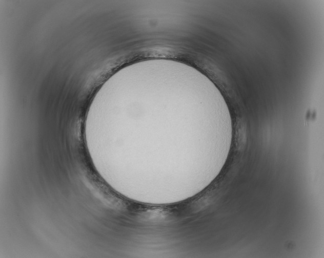 X0000112160310200909181454