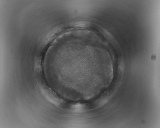 X0000112160312200909181454