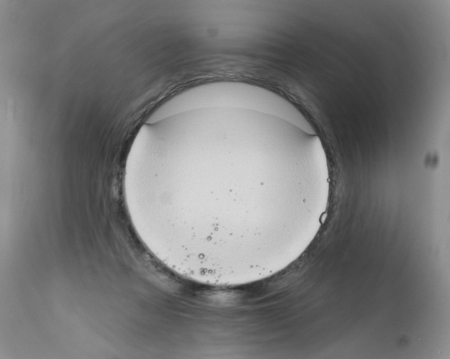X0000112160313200909181454