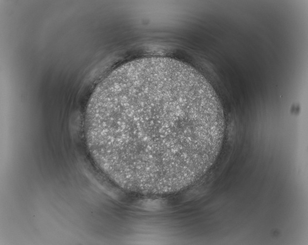 X0000112160314200909181454