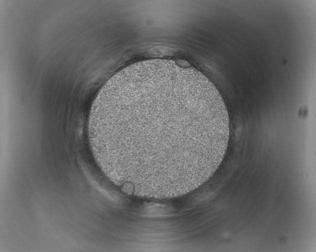 X0000112160315200909181454