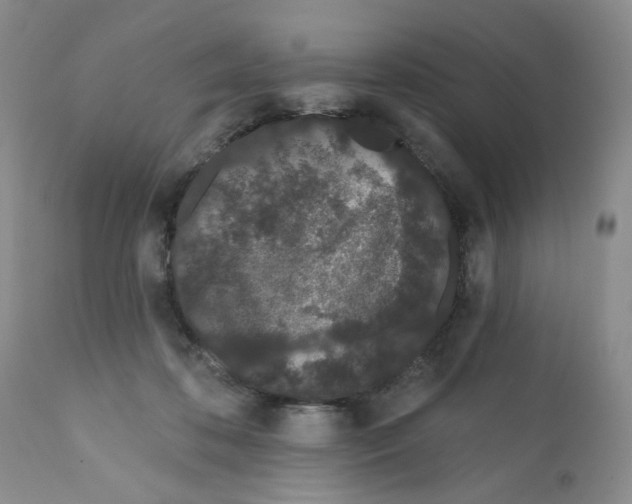X0000112160316200909181454