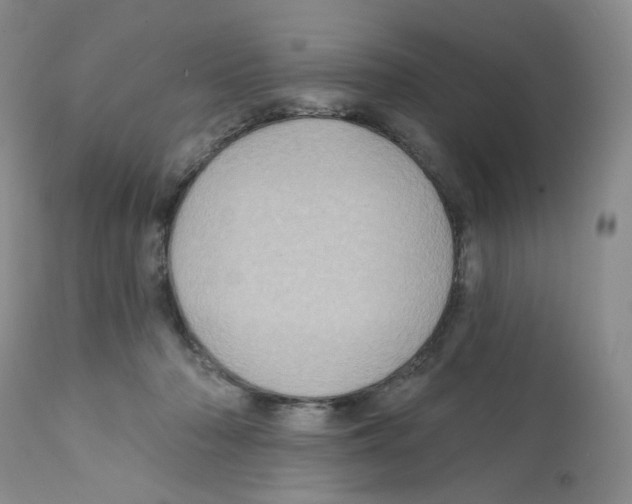 X0000112160318200909181454