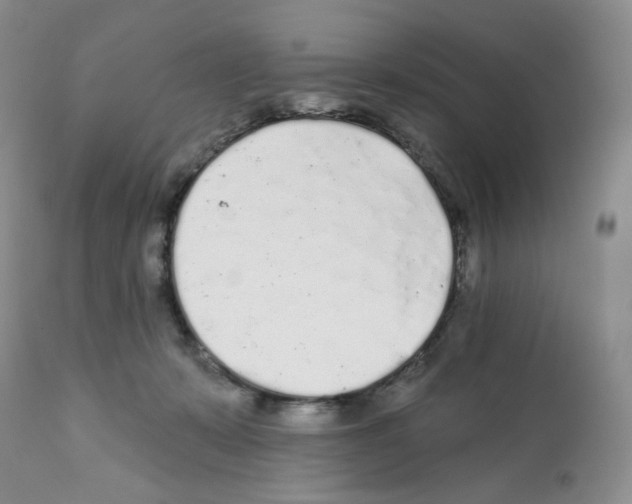 X0000112160319200909181454