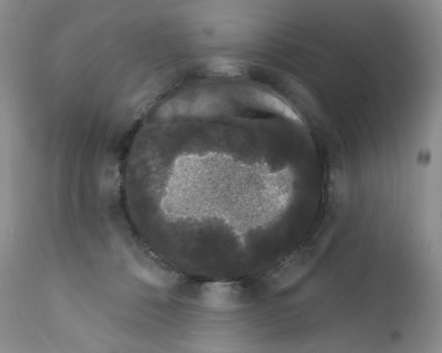 X0000112160320200909181453