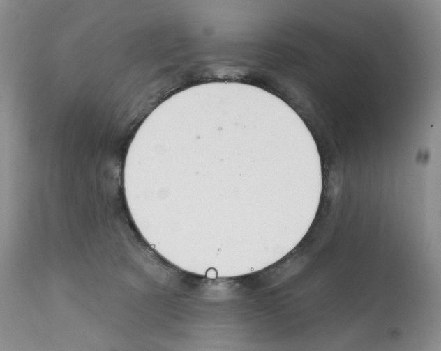 X0000112160321200909181453