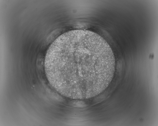 X0000112160322200909181453