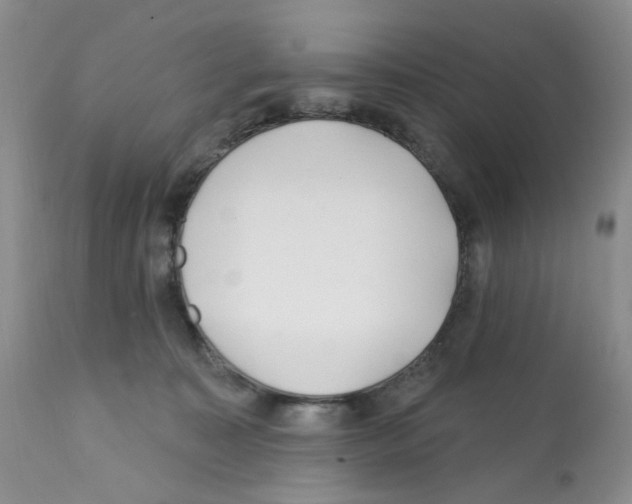 X0000112160323200909181453