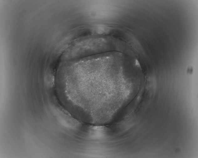 X0000112160324200909181453