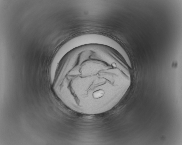 X0000112160325200909181453