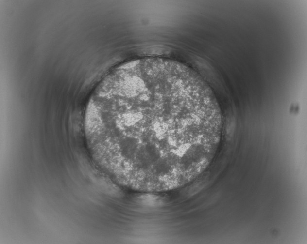 X0000112160326200909181453